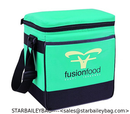 China Insulated 12 pack cheap disposable cooler bag supplier
