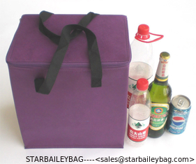 China 2014 Easy take Mini Lunch Bag/Mini Lunch Bag best soft cooler bags supplier