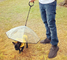 Ready To Ship: dog leashes umbrella Anti-Drop Reverse open Inverted Umbrella for Pets leash C shape handle umbrella supplier