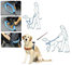 Ready To Ship: Pets Leashes Sets Various Size Breathable  Nylon Leather Dog Collars XS-S-M-L Dog Leash supplier