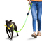 Ready To Ship: LED Flash Pets Leashes Nylon Webbing Button Cell Power LightingSoft EVA Handle Dog Leash supplier