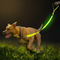 Ready To Ship: LED Flash Pets Leashes Nylon Webbing Button Cell Power LightingSoft EVA Handle Dog Leash supplier