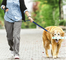 Custom Nylon Spandex Pets Leashes Comfortable Wrist Dog Chains Reflective Elastic Leash Small Size Pets Sets supplier