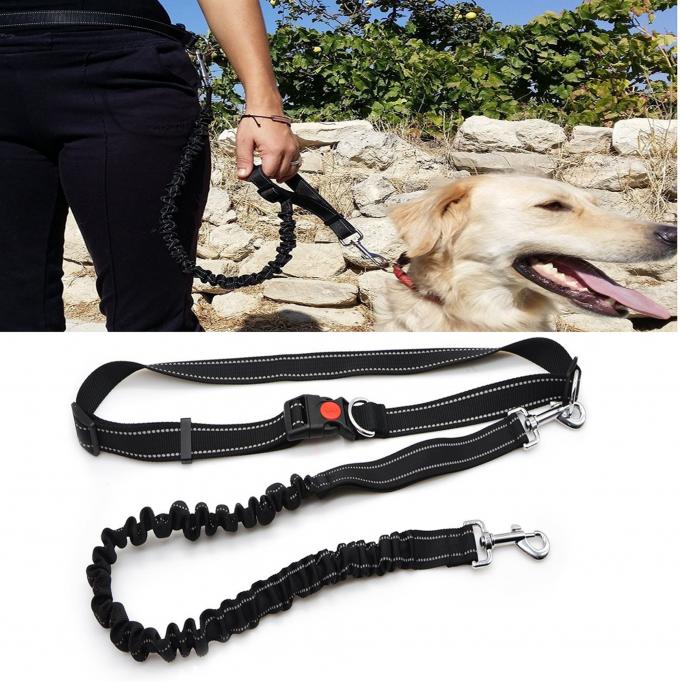 Hands Free Dog Leash/Pet Leash, No Pull Lightweight Jogging Dog Leash