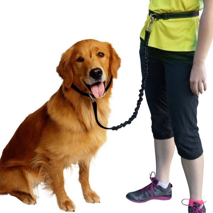 Hands Free Dog Leash/Pet Leash, No Pull Lightweight Jogging Dog Leash
