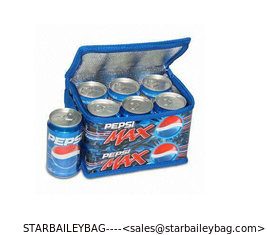 China cheap promotion 6 pack can cooler bag supplier