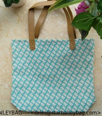 China leisure ladies handbag, canvas handbag for promotionals bag supplier