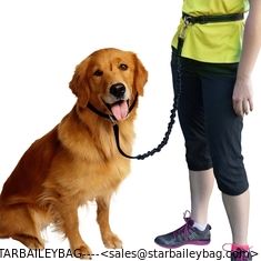 China Hands Free Dog Leash/Pet Leash,  No Pull Lightweight Jogging Dog Leash with Reflective Stitching Bungee&amp;Adjusta supplier