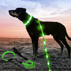 China Ready To Ship: Lighting Pets Nylon Chains Sets Small Size USB Chargering Dog Leashes And Dog Collars supplier