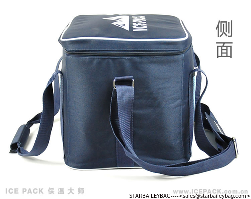 600D polyester promotional cooler bag-picnic bag-Thermal bag-food bag-ice pack lunch cooler bags for work supplier