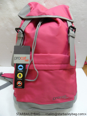 Puma Procat Gray and Hot Pink Backpack supplier