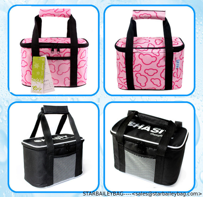 colorfull prints picnic time lunch bag, picnic bag,cooler bag, keep cost hold hot bottle cooler bag and ice packs for br supplier