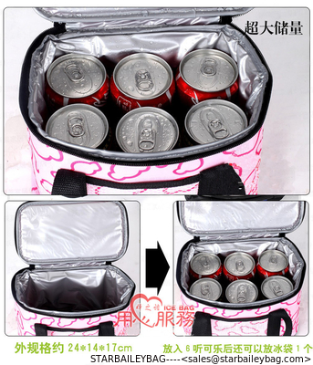 colorfull prints picnic time lunch bag, picnic bag,cooler bag, keep cost hold hot bottle cooler bag and ice packs for br supplier