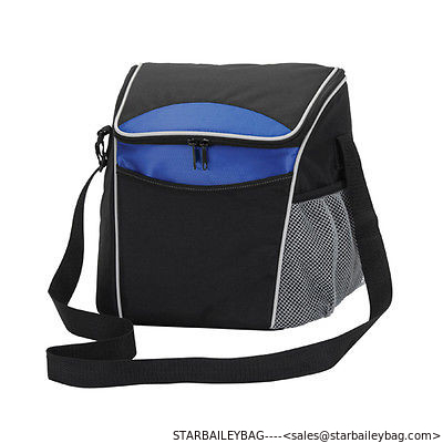 Insulated Cooler Lunch Bag Picnic, Sports, cooler bag breast milk storage supplier