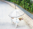 Ready To Ship: Pet Leashes for rainny day clear PE dog umbrella Chains Sets leash Supplier supplier