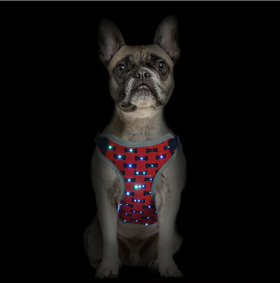 Ready To Ship: Flash Pets Wear Sets Middle Size Nylon Webbing Dog Leashes Harness Led Flash Chest Vest supplier