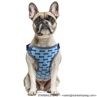 Ready To Ship: Flash Pets Wear Sets Middle Size Nylon Webbing Dog Leashes Harness Led Flash Chest Vest supplier