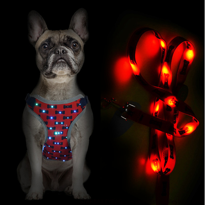 Ready To Ship: Flash Pets Wear Sets Middle Size Nylon Webbing Dog Leashes Harness Led Flash Chest Vest supplier